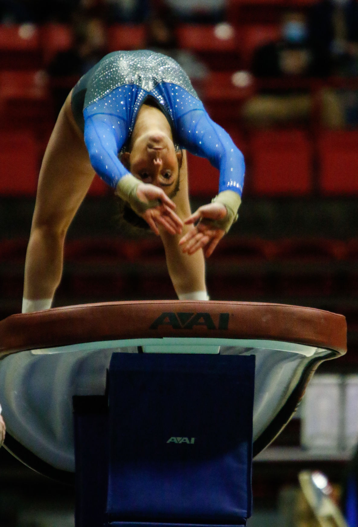 Gallery: Gymnastics state finals